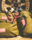 UDF C-Bag